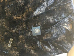 Empire Collection - Regular Fit Black And Gold With Fancy Metallic Pattern Sports Coat -Bowie Store IMG 0578 1